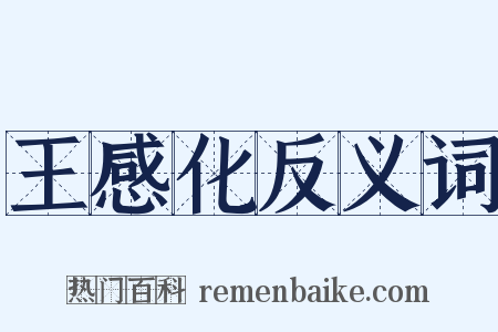 王感化反义词是什么意思的图片